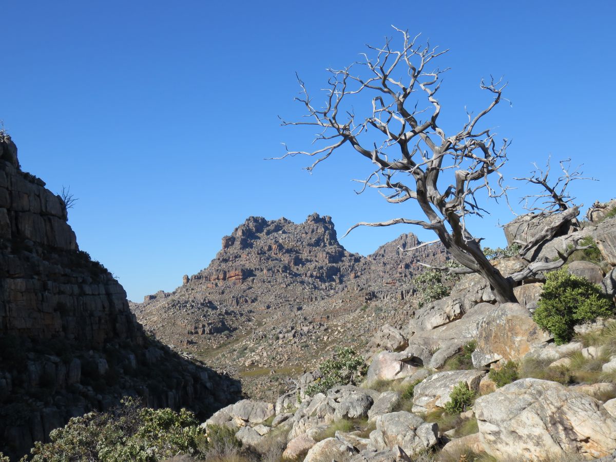 IMG 0149 Cederberg1