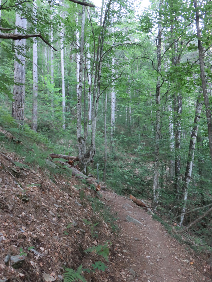 IMG 7748