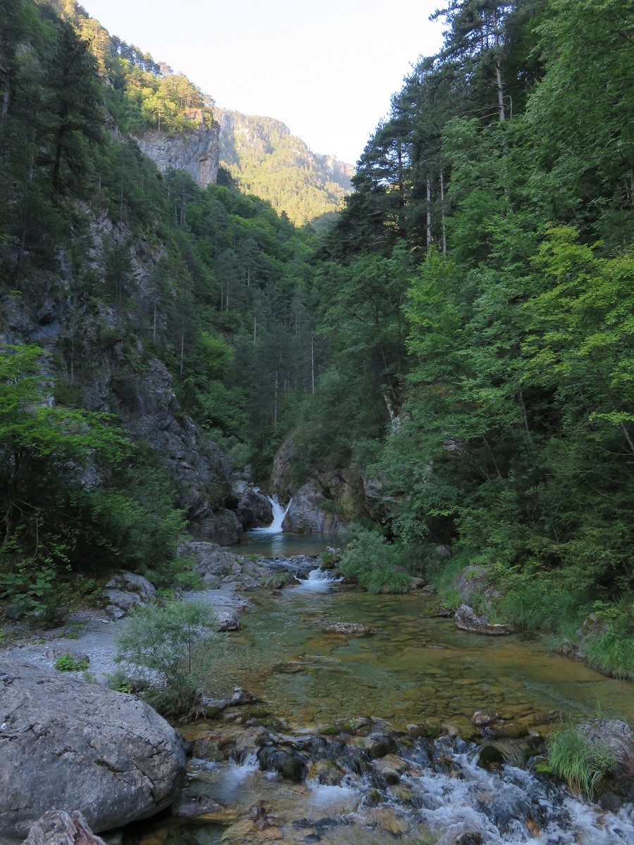 IMG 7758 1