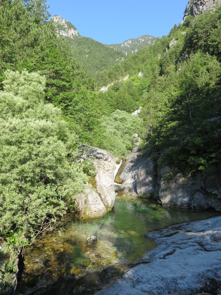 IMG 7773