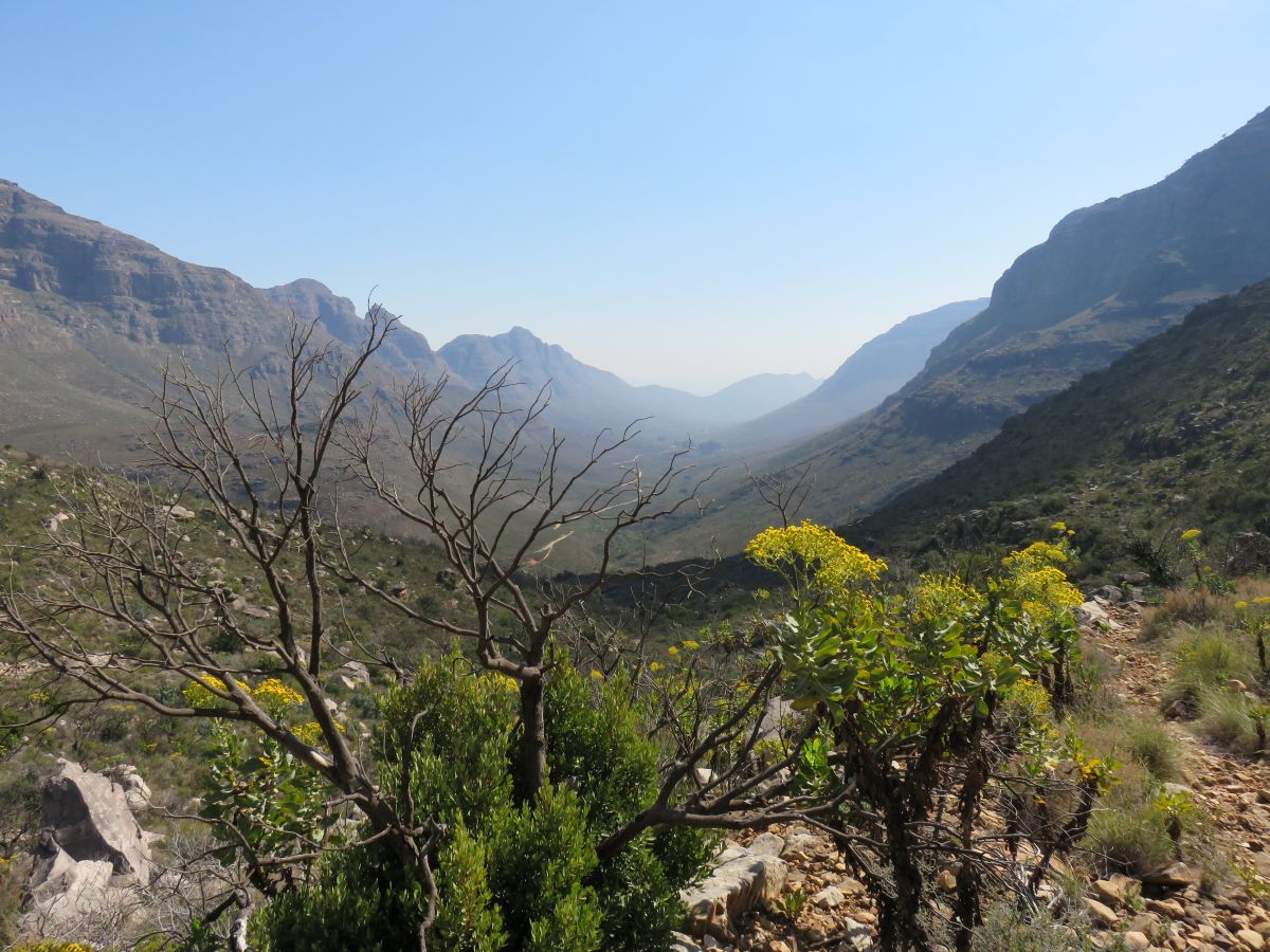 IMG 0128 Cederberg1