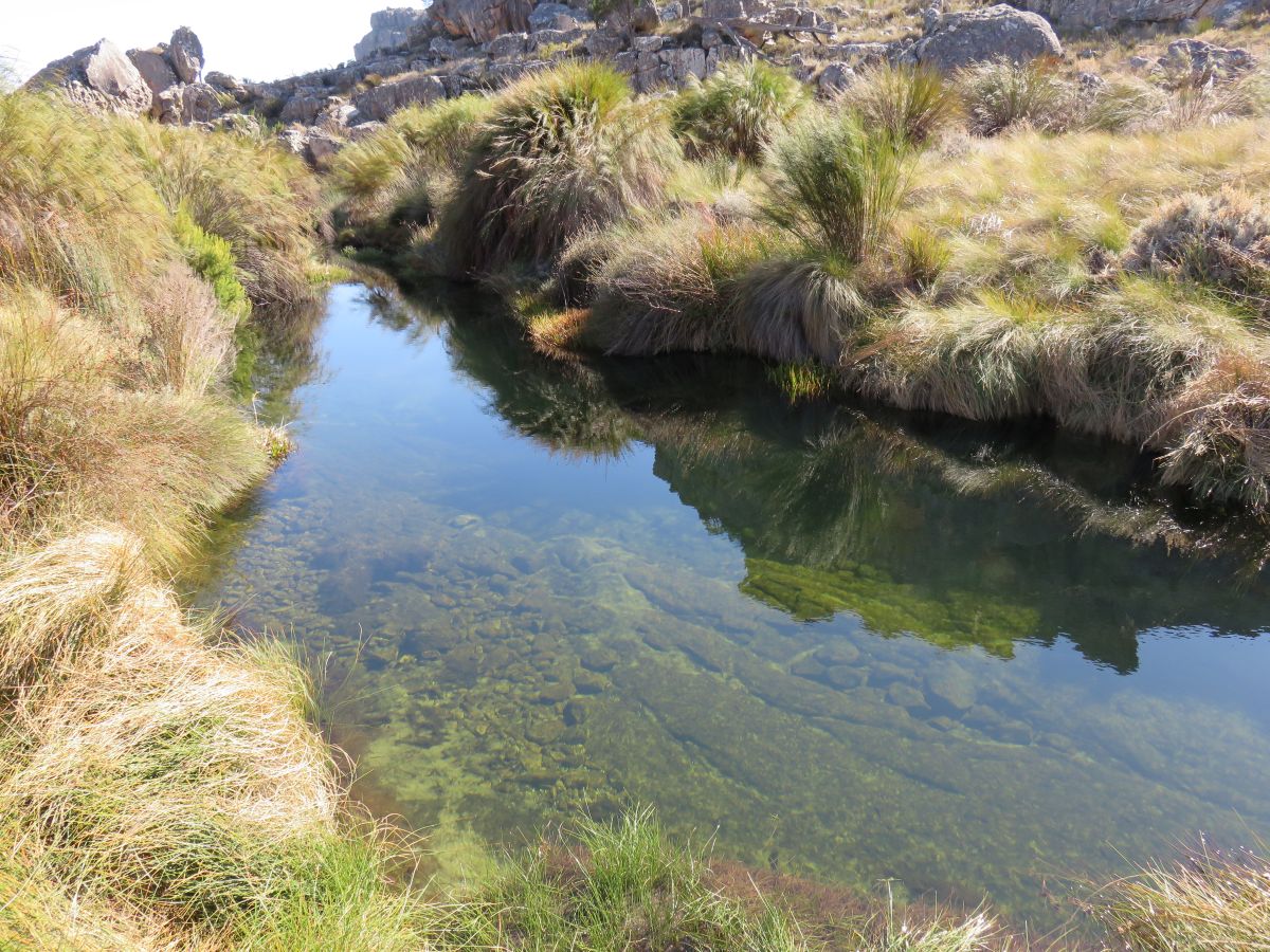 IMG 0153 Cederberg1
