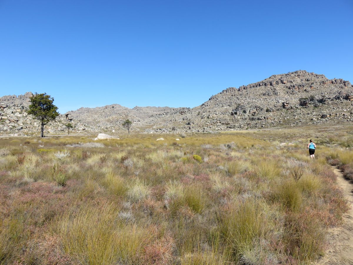 IMG 0160 Cederberg1