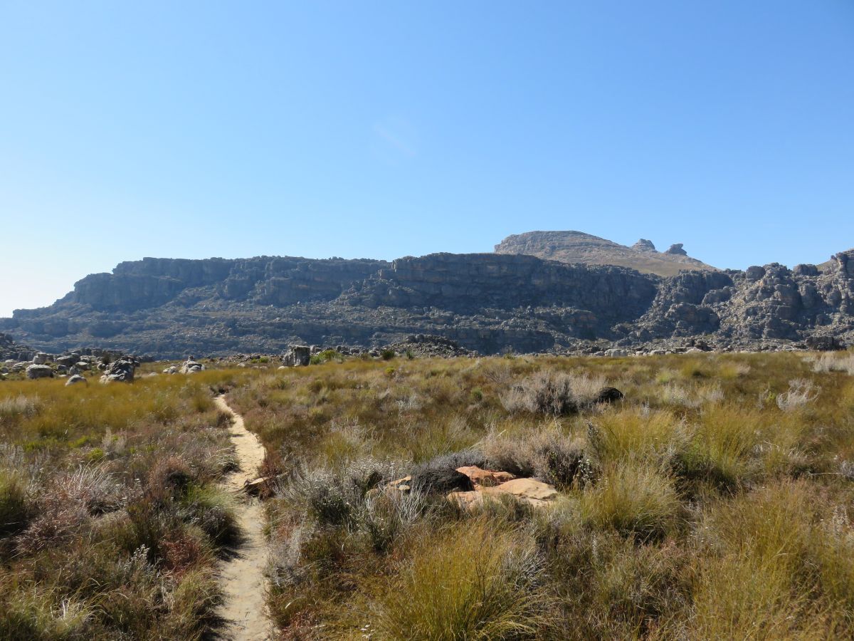 IMG 0161 Cederberg1