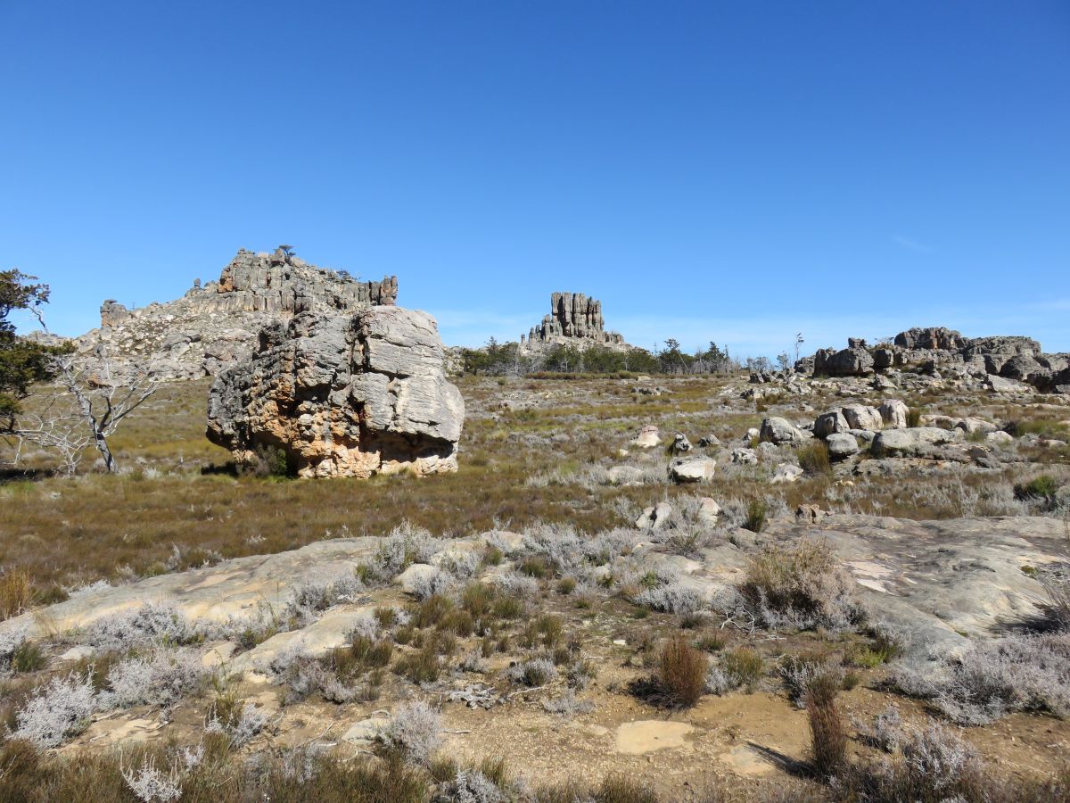 IMG 0164 Cederberg1