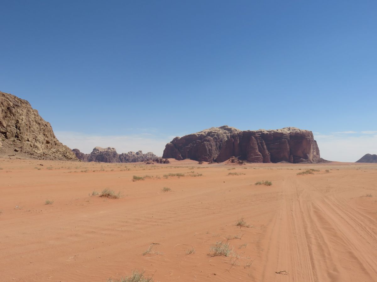 IMG 2780 Wadi