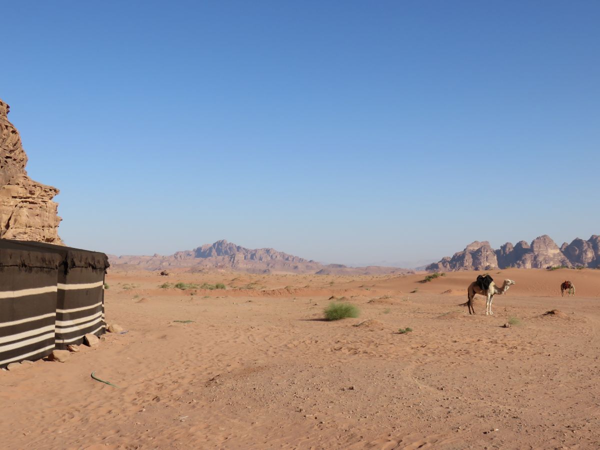IMG 2882 Wadi