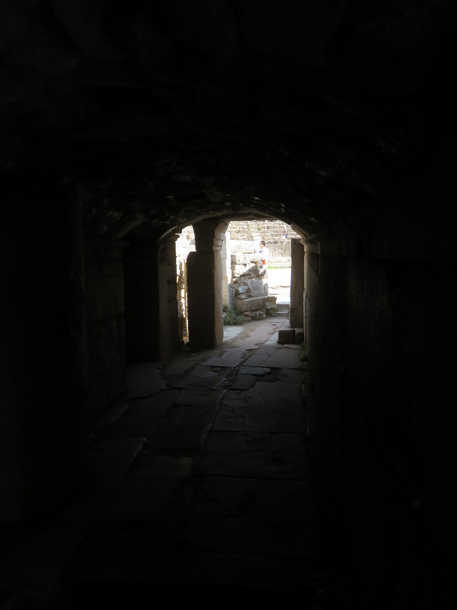 IMG 6837