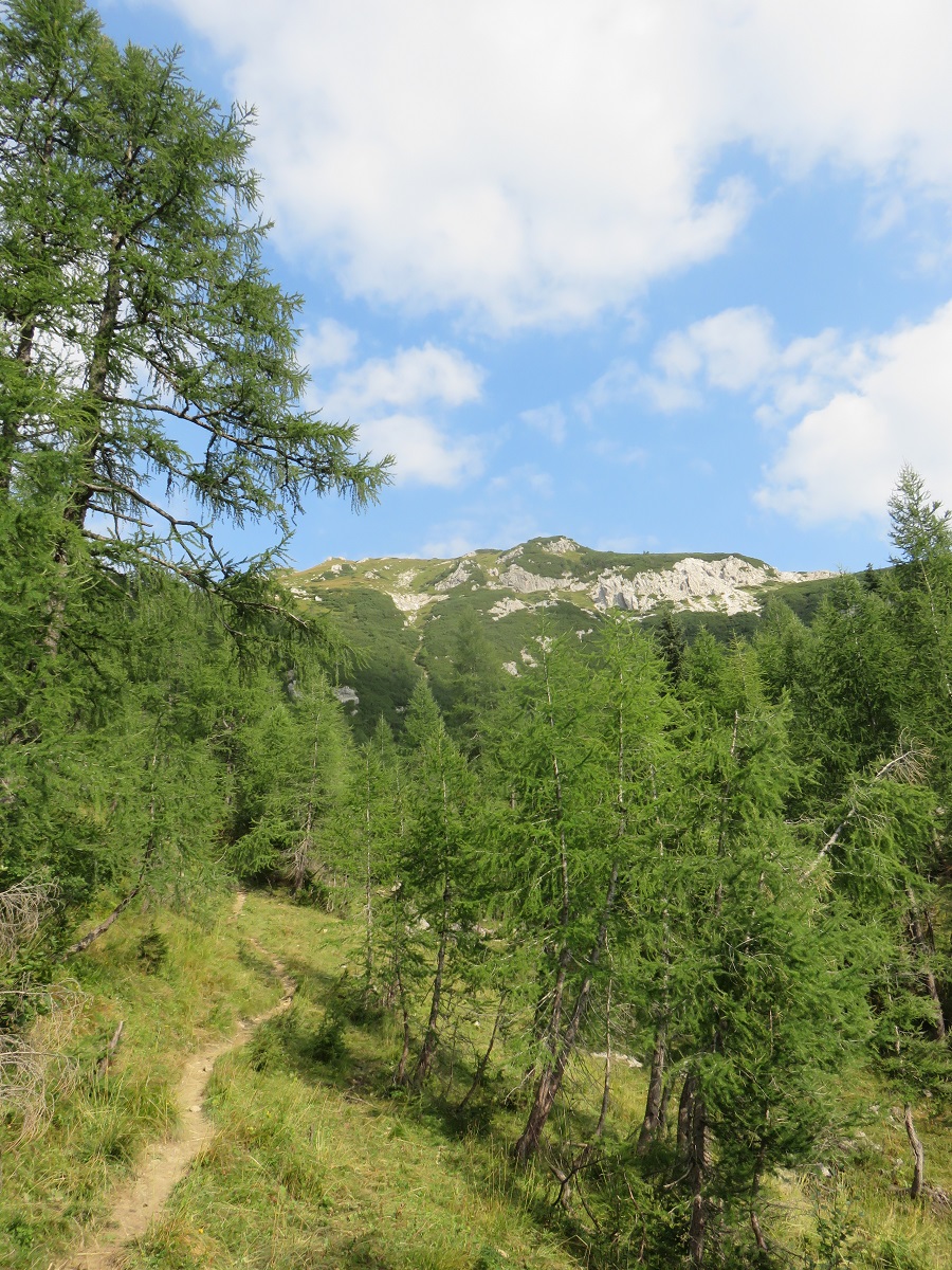 IMG 0318